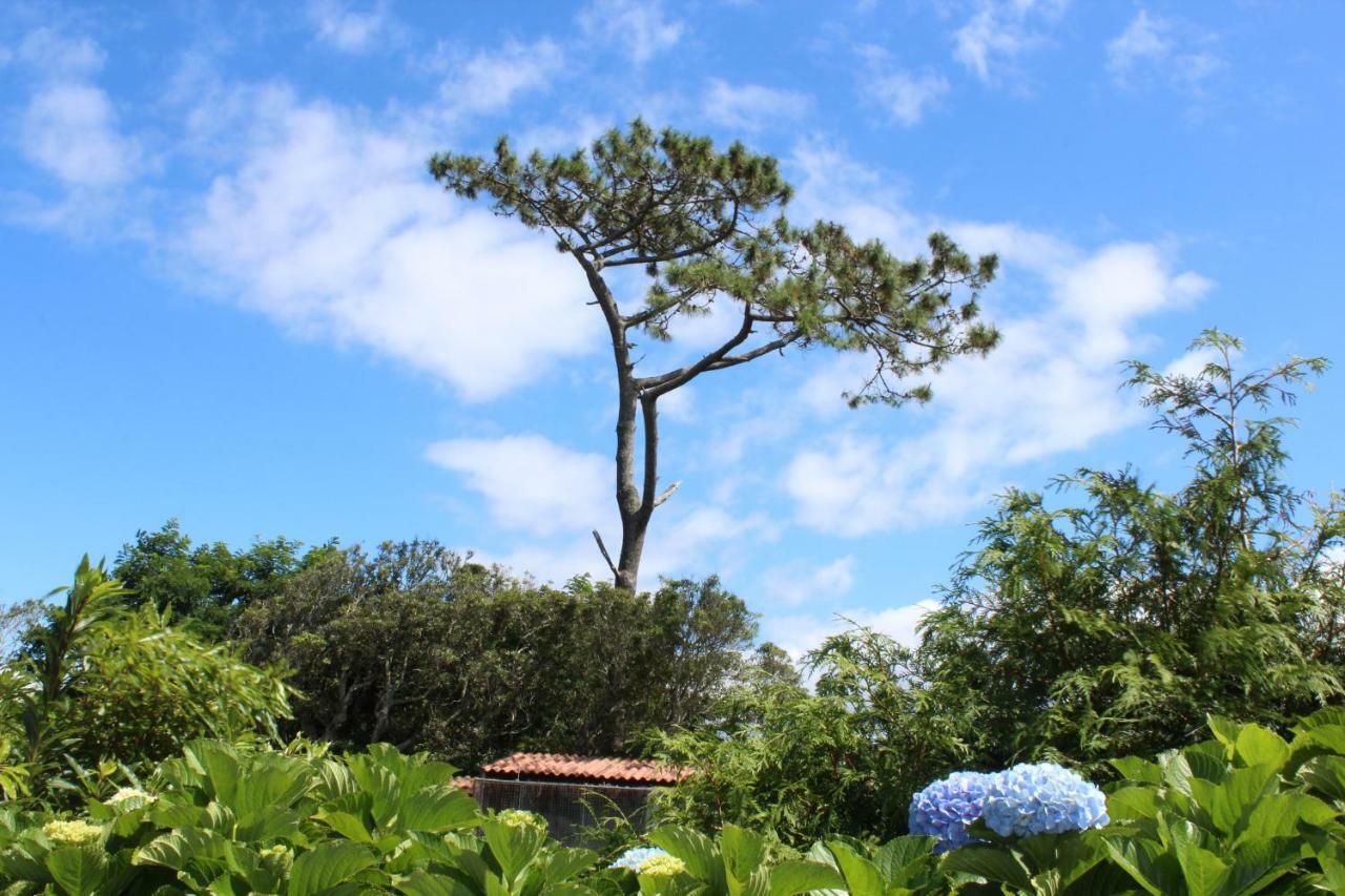 カペラス Quinta Do Torreaoヴィラ エクステリア 写真